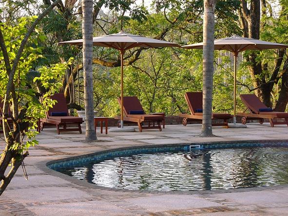 Jatinga Country Lodge - Pool 